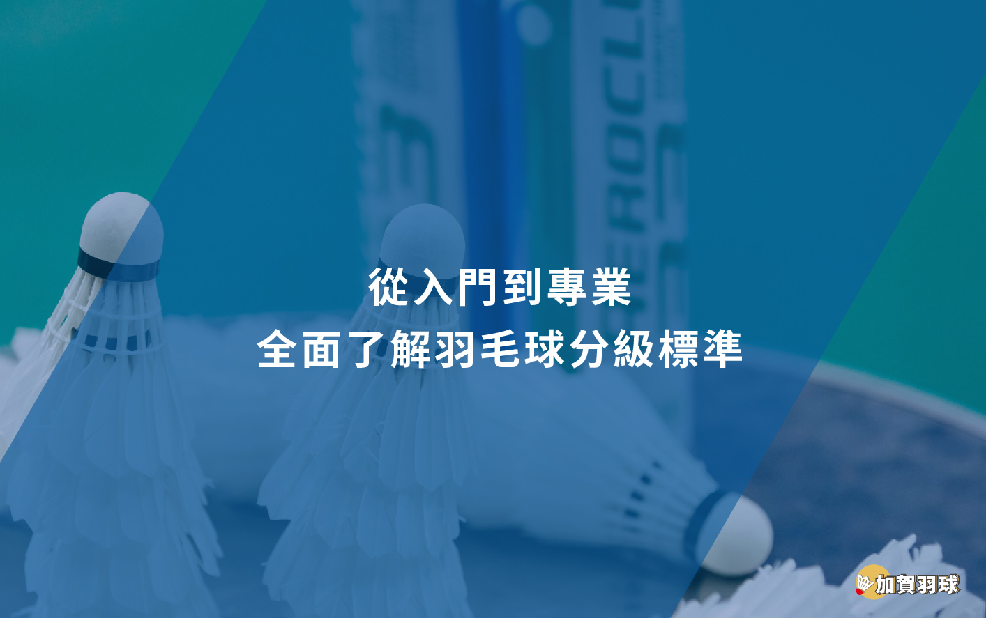 從入門到專業：全面了解羽毛球分級標準 - 加賀羽球
